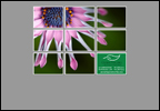 isoft